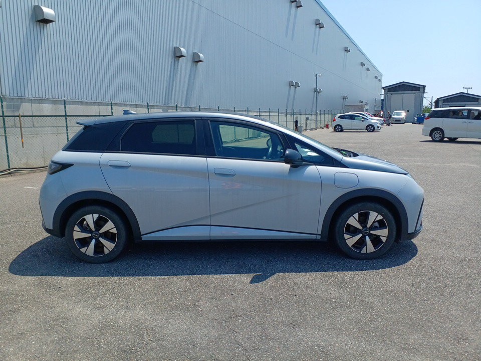 2024 BYD Dolphin