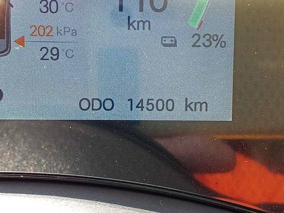 2024 BYD Dolphin