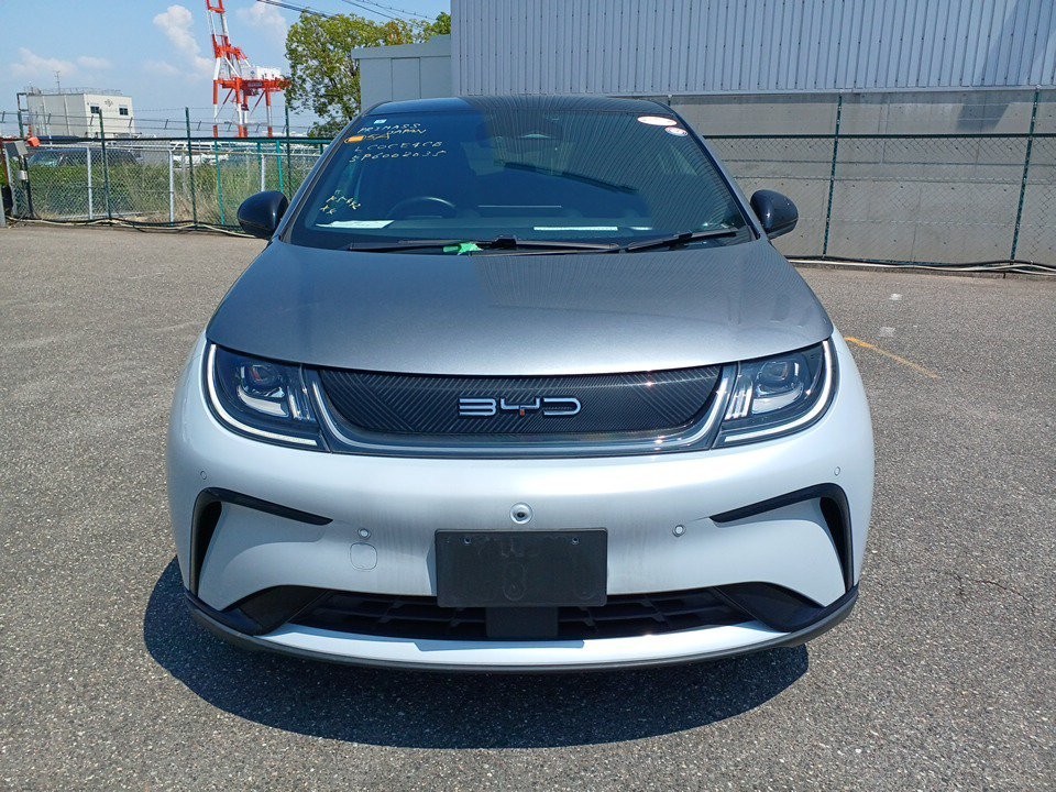 2024 BYD Dolphin
