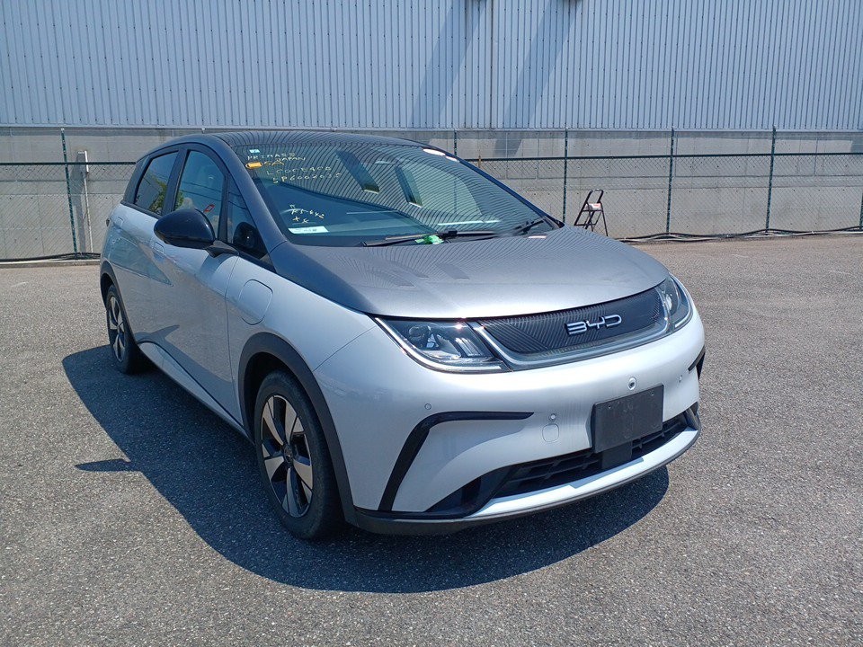 2024 BYD Dolphin
