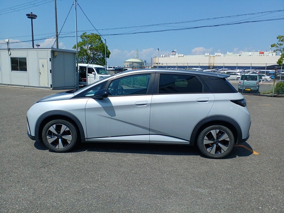 2024 BYD Dolphin