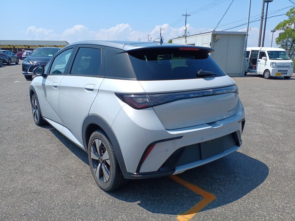 2024 BYD Dolphin