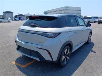 2024 BYD Dolphin - Thumbnail