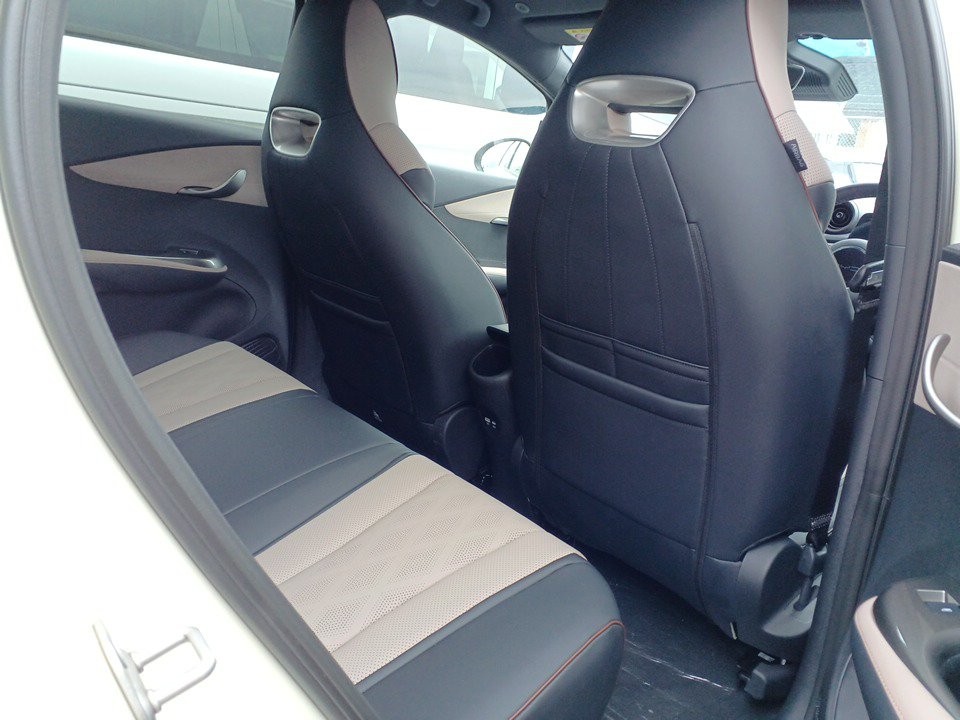 2025 BYD Dolphin