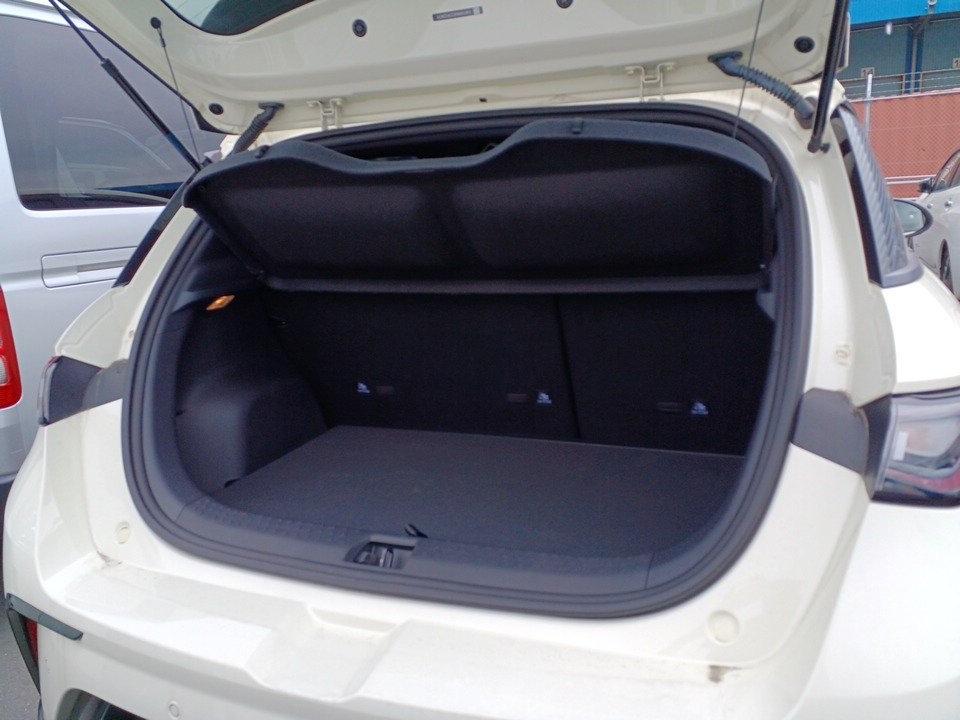 2025 BYD Dolphin