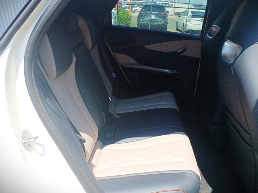 2023 BYD Dolphin