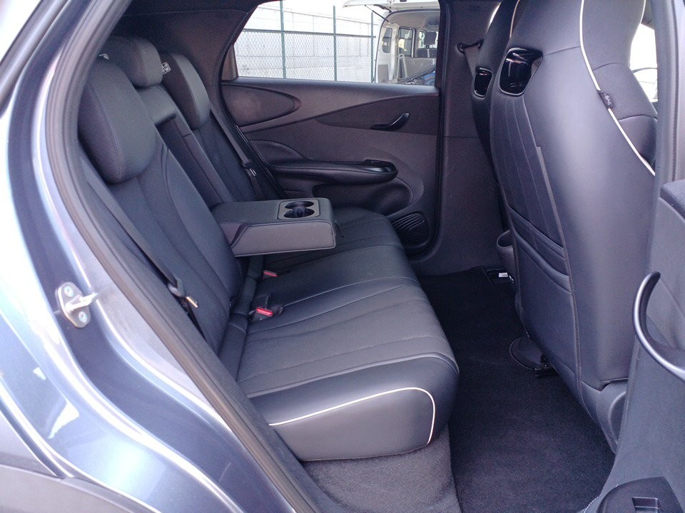 2024 BYD Dolphin
