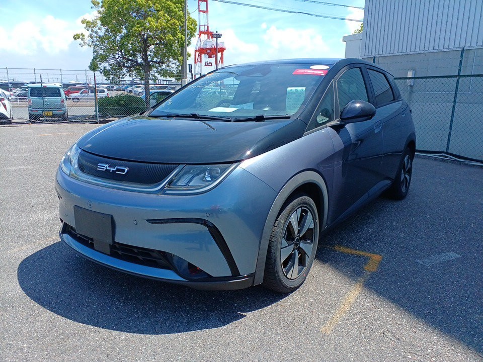 2024 BYD Dolphin